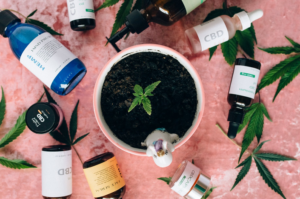 cbd oil